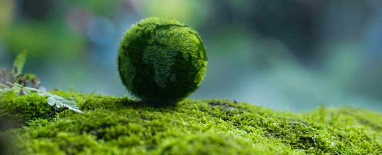 Net Zero Emissions and Acclaim Handling 